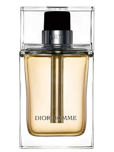 dior homme ss 2005|Dior Homme parfum by christian.